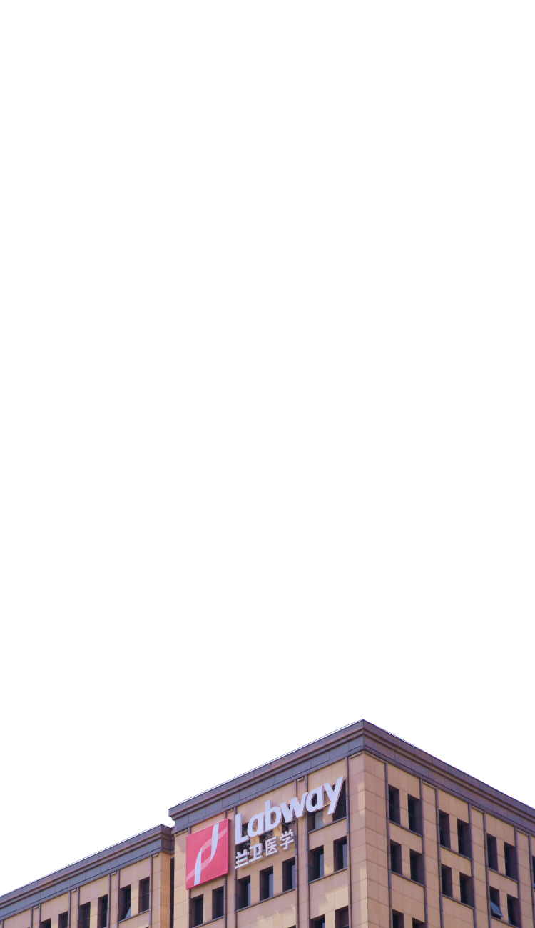 6t����(6TSPORTS)�����Źɷݹ�˾