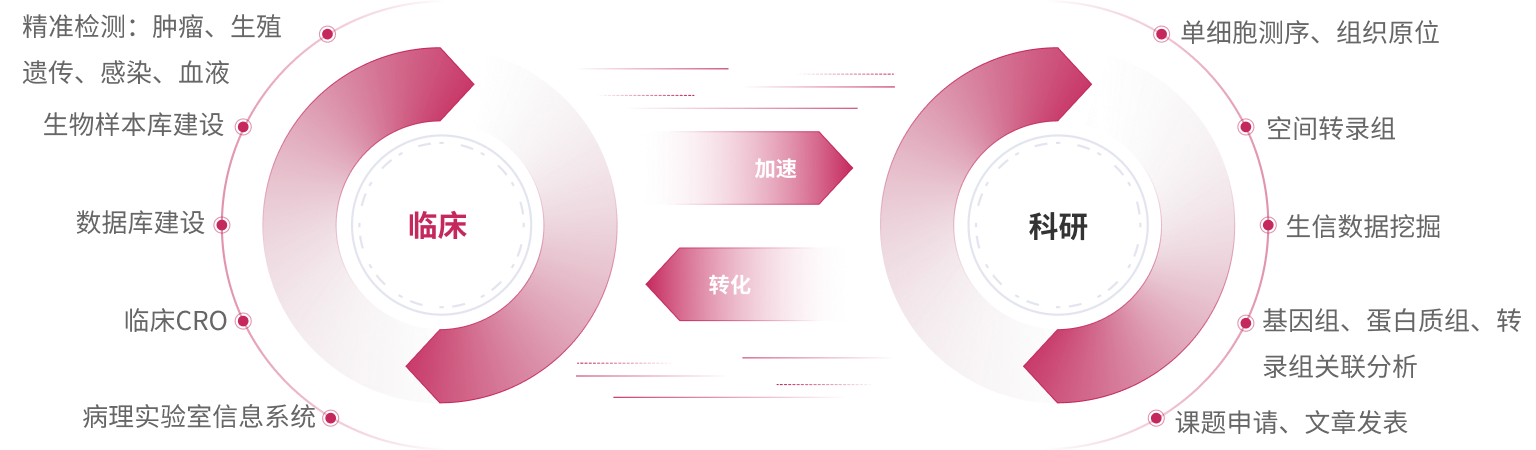 6t����(6TSPORTS)�����Źɷݹ�˾