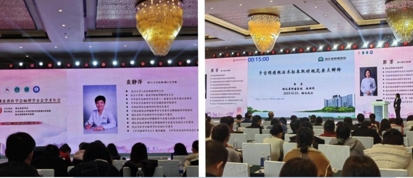 1705039997123280.png image.png