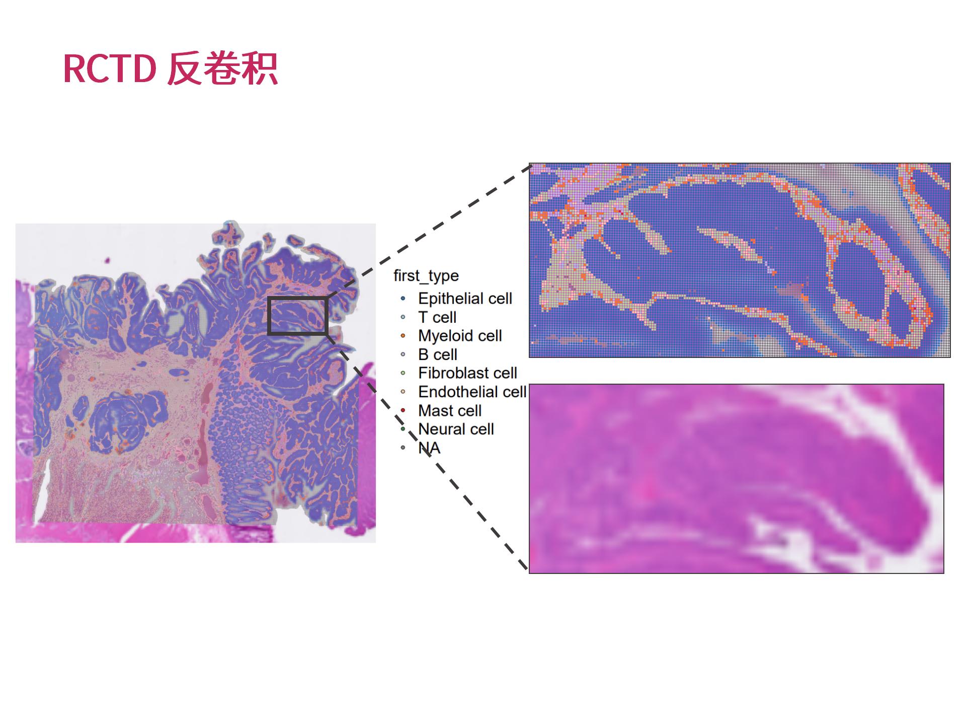 �������Ի�������Ϣ���� (2.25)--_14.jpg