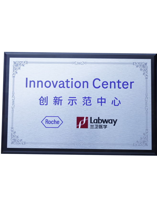 02 6t����������������ģ����.png