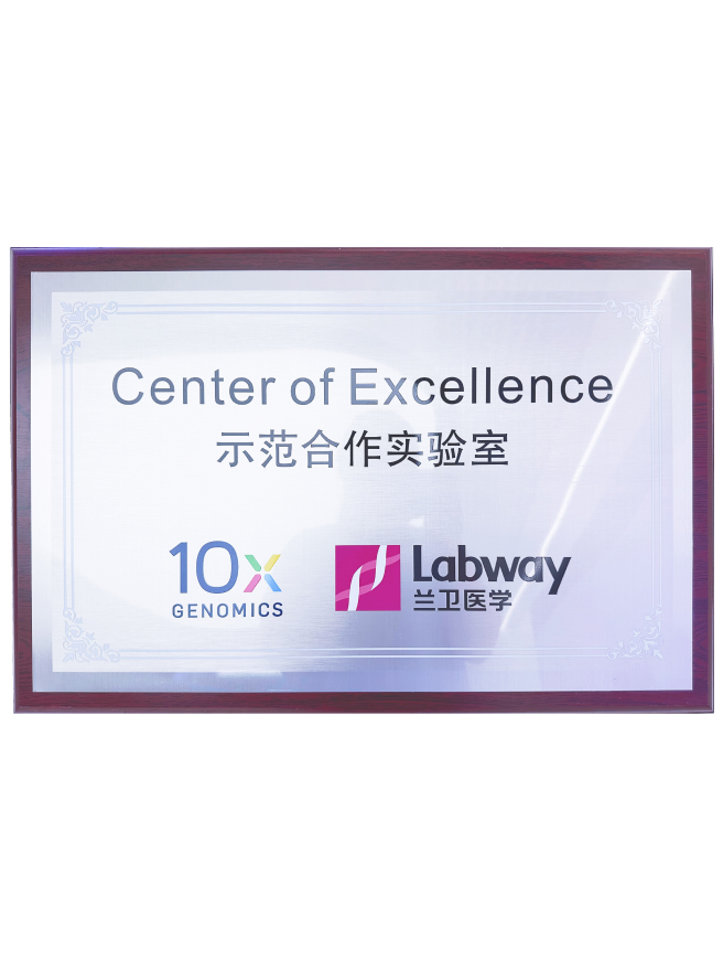 03 6t������10X��ģ����ʵ����.png